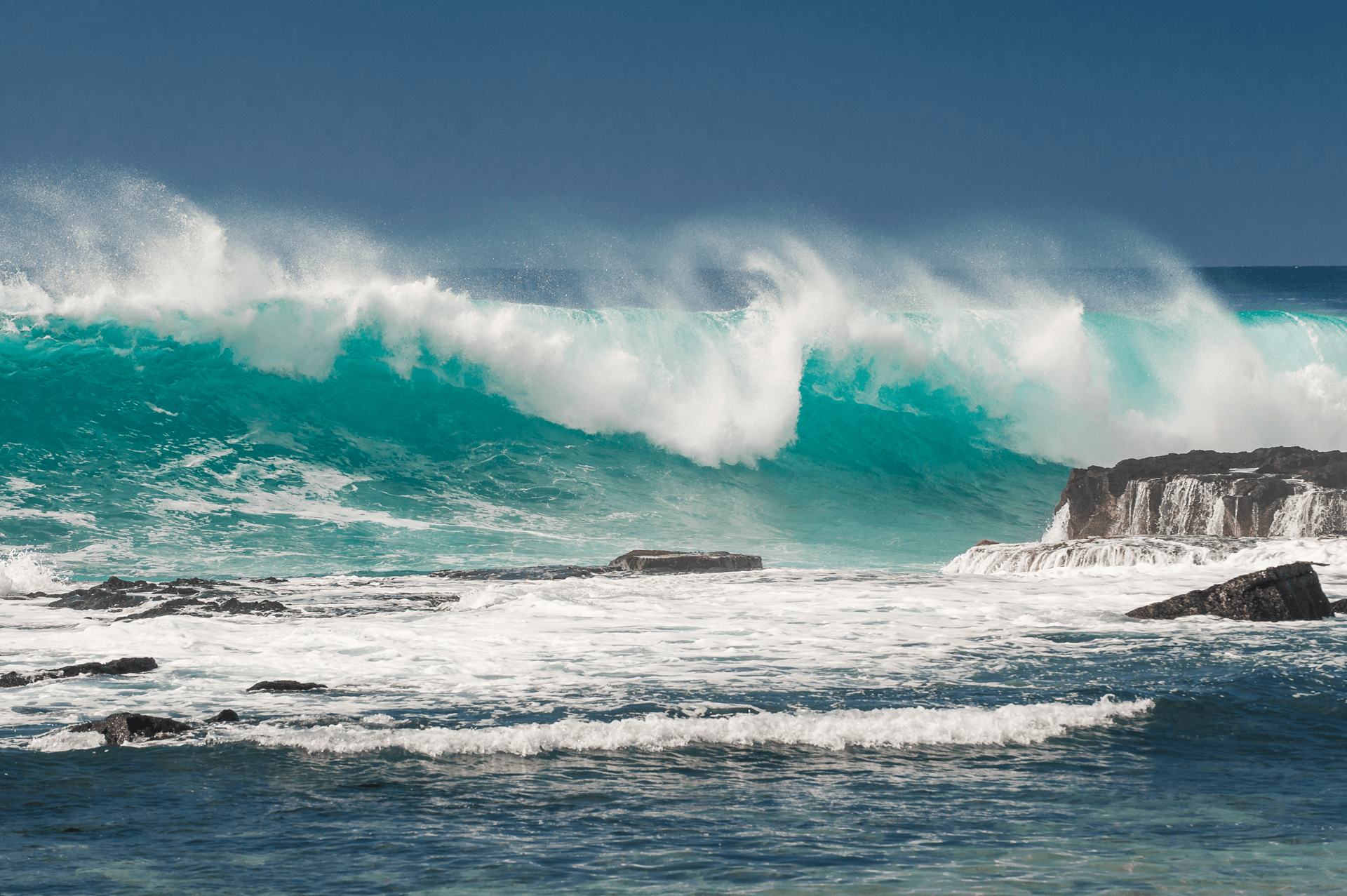 Astaxanthine Vegan CeLem Hawaii